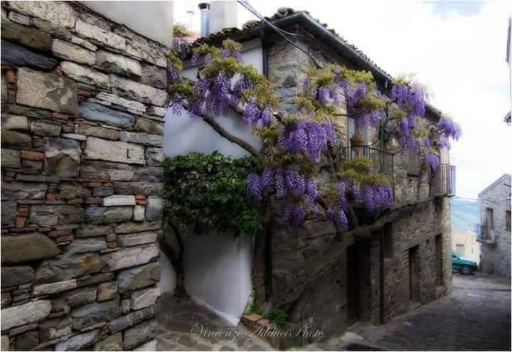 Sant'Elia B&B Alessandria del Carretto Eksteriør bilde