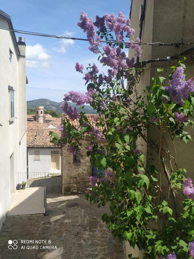 Sant'Elia B&B Alessandria del Carretto Eksteriør bilde